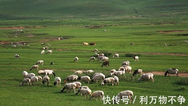 成吉思汗下达屠羊令，只为羊肉更好吃？专家分析：蒙军因此而强大