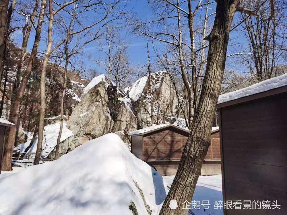 辞旧迎新登高翠华山 赏雪景看晴空万里