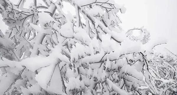 堪称|麻阳西晃山，雪中之景堪称奇峰异景