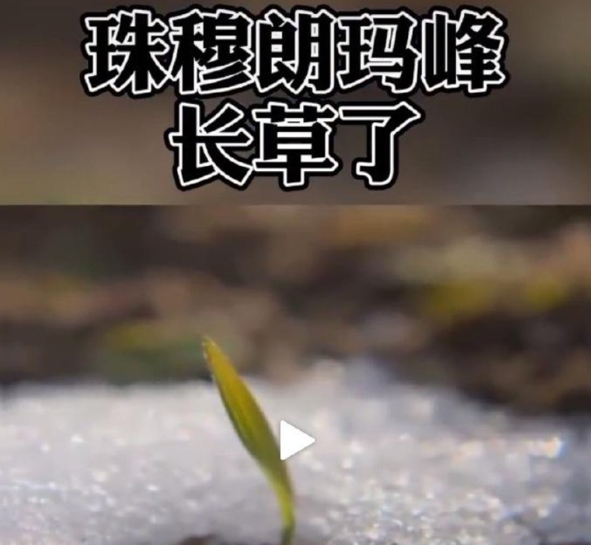 地球有多热，2020年气温再创新高，冻土融化，人类为何不安？