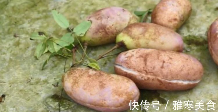 农村|农村山里一种野果批量成熟,挂在藤上密密麻麻,软糯香甜到过瘾