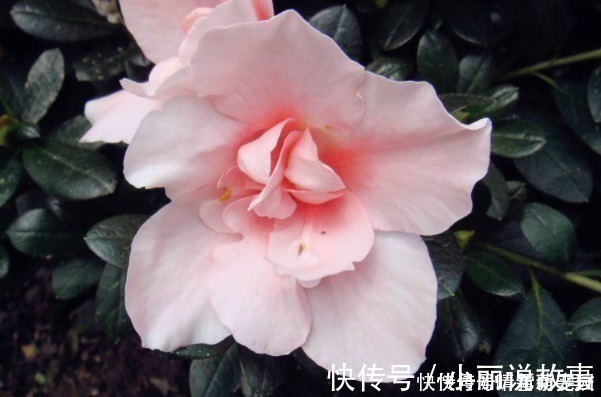 小便宜@俗话说:人贪3样,一生白忙,可惜很多人不了解,而“错失”财运