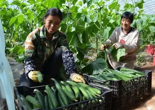 老年|这个塞外风情之地，有着最纯正的羊汤，和无数的宝藏！