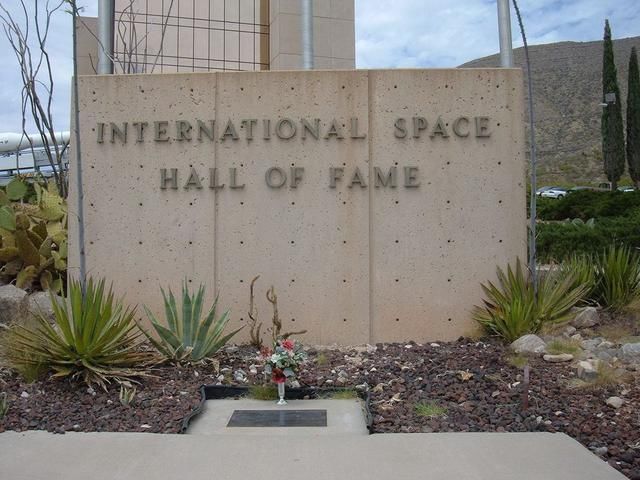 摔死、热死太空动物悲惨结局,回地球没成英雄,却差点成标本