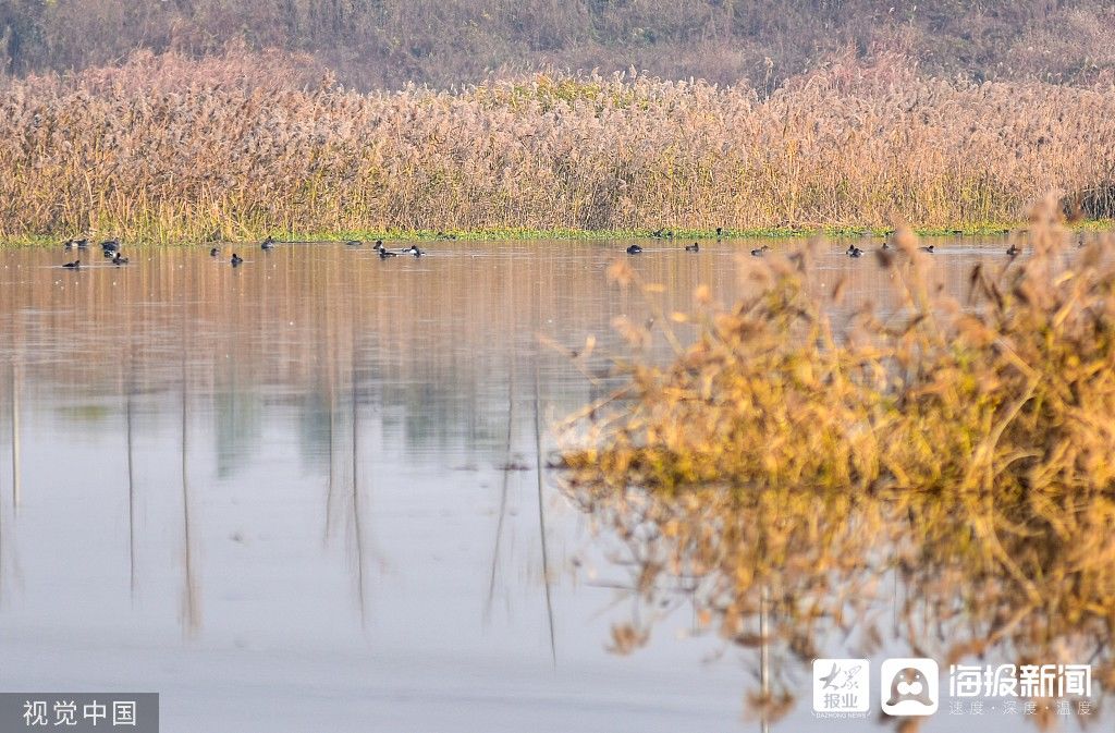 付疃河|图看日照｜付疃河落日美景