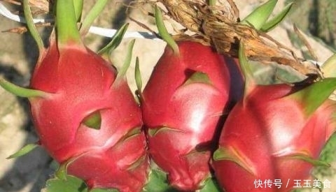 吃火龍果一小時(shí)內(nèi) 切忌碰此2種食物