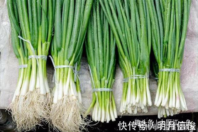 大葱|香葱买多了该如何保存菜农教你这一招，放半年香葱都不坏
