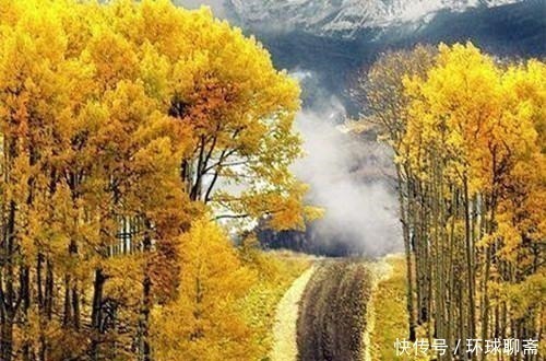 玉楼&断鸿渺渺空银海,疏雨潇潇满玉楼;八首七律诗,已是天凉好个秋