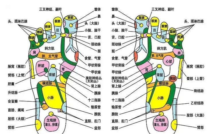 胃溃疡|如果你只知道核桃补脑，这几个功能却不知道，那就太可惜了