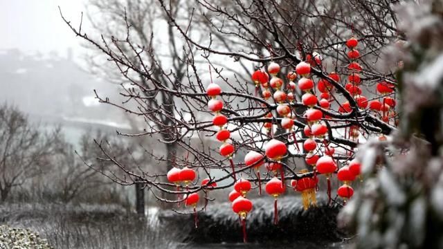 春雪漫卷，蓬莱阁的美藏不住了！