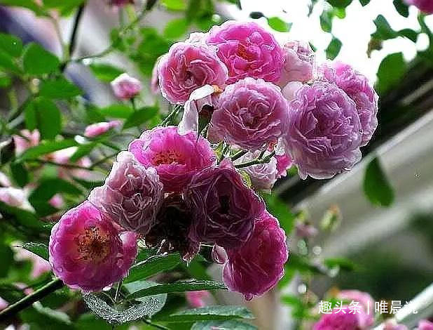 吃饭|一个人吃饭的顺序和速度，取决于他是个怎样的人，八九不离十