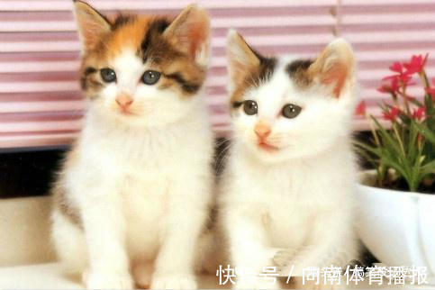 |开心笑话:表哥结婚那天,来了一个陌生人,给了一个大大的红包