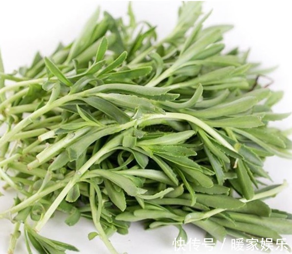 景天甘|它是一种理想的保健蔬菜,降压、降血脂、防血管硬化,超乎想象
