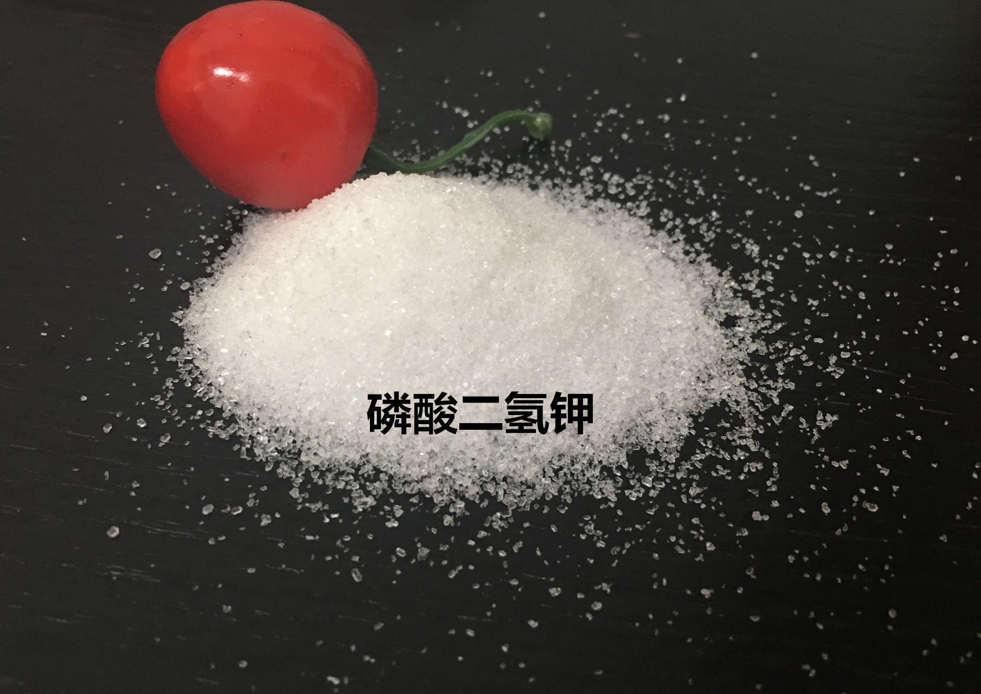 开花|长寿花不开花,“喂1勺”粉末,加3“动作”30天开花满枝头