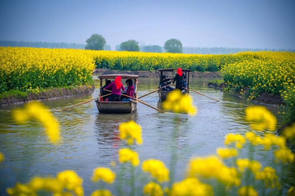 中国最美的油菜花美景地全在这里了，我去过3个，你呢？