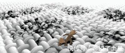 生物酶|洗衣服时加上“它”,洗完之后衣服香香的!