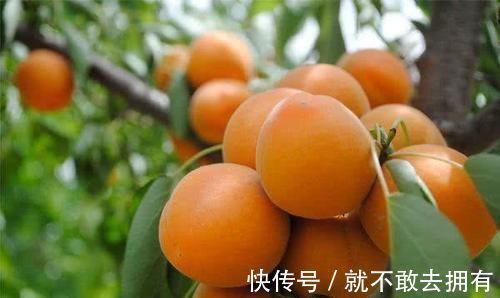 补充营养|女性想要身体好,不妨多吃3种食物,补充营养,增强体质