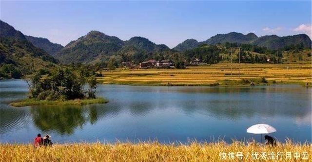 钓鱼技巧四季钓鱼时间表,凡是鱼好钓的阶段,一定满足这些特点!