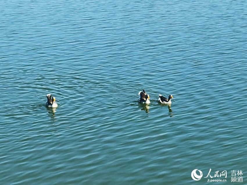 海龙湖公园|梅河口实施河湖连通工程：水在城中 城在绿中 人在景中