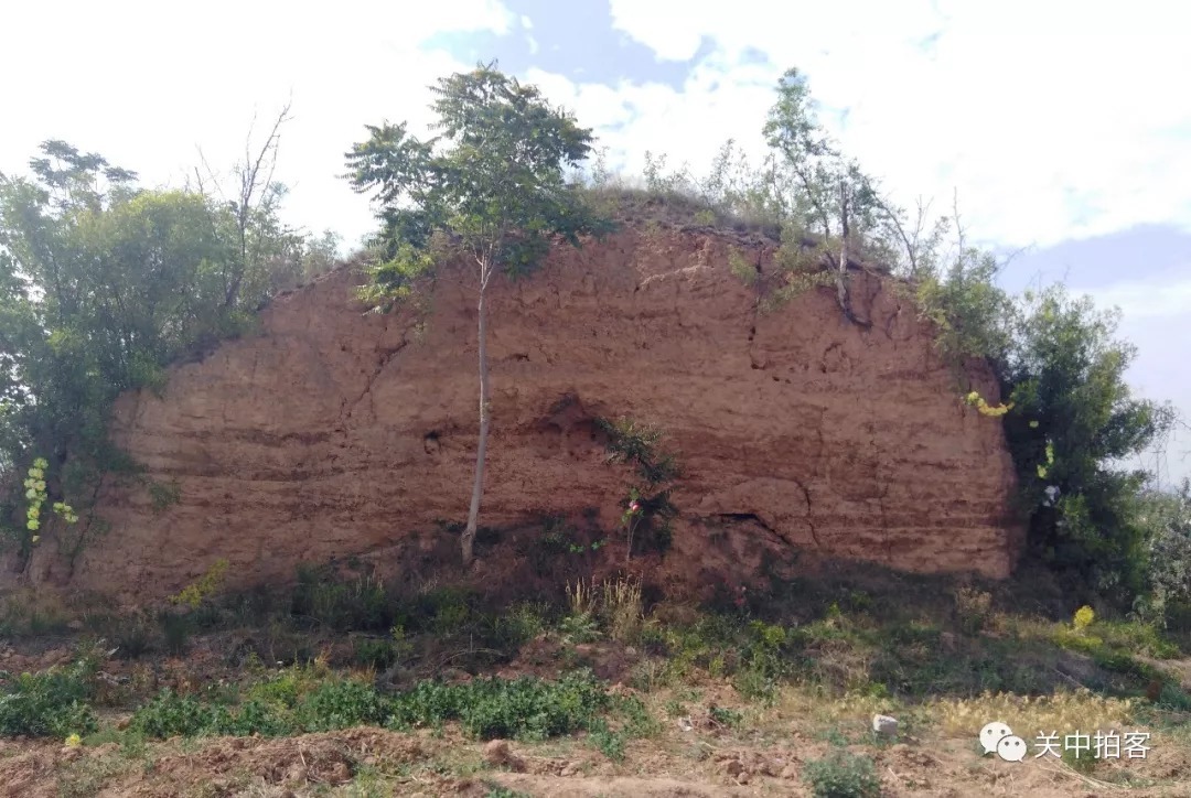 张士贵@张士贵墓:后人立碑,风光重现