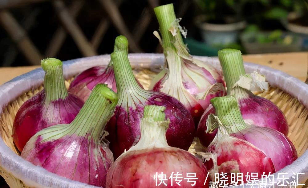 鸡蛋饼|洋葱又出新吃法啦,好看好吃又解馋,炎热的夏季吃正合适