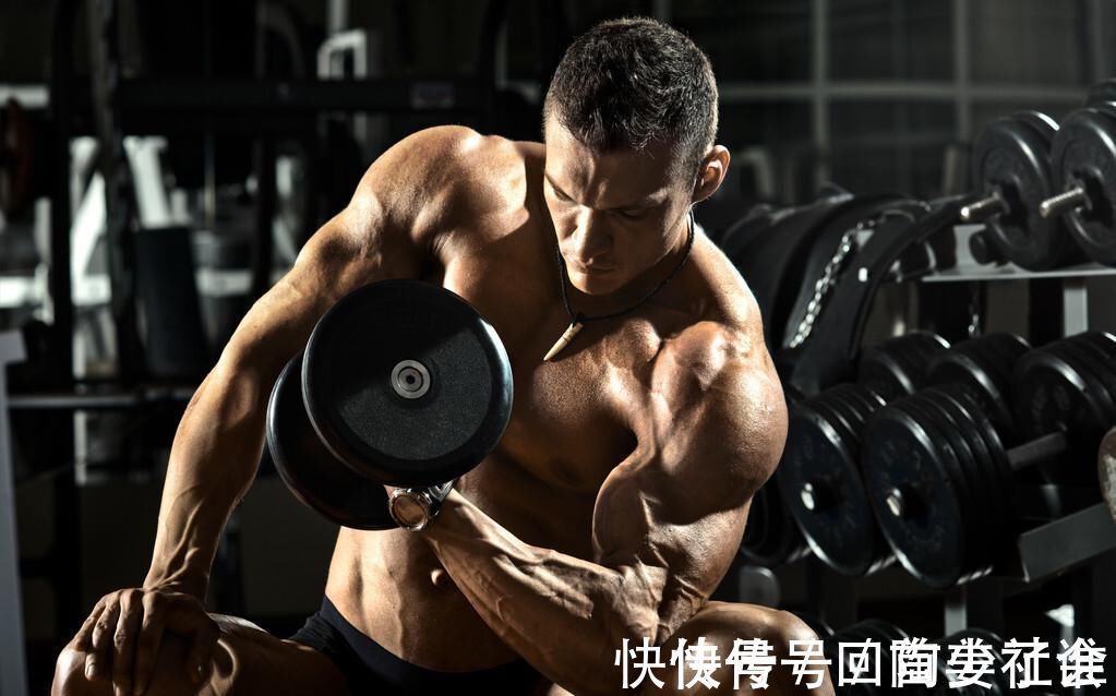 肌群|牢记4个增肌法则,让你提高肌肉维度,练出强壮身材!