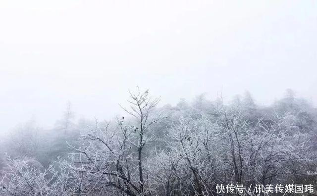 重庆周末去赏雪：新一轮降温后，雪漫人间！这些地方都可以赏雪