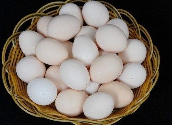 一颗鸡蛋，6大误区，吃对了营养才会加倍的！