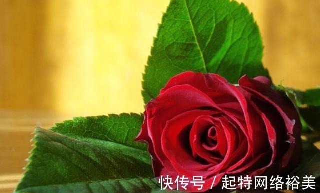 福运$老祖宗:积“阴德”的3件事,常做福运不请自来,你做了几件?