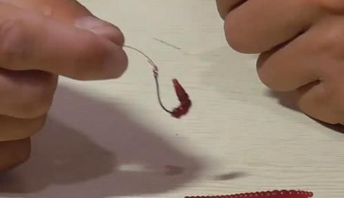 钩尖|蚯蚓钓鱼使用小技巧,让钓鱼爱好者少走弯路