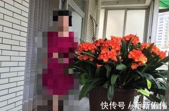 她用这三招,君子兰年年开花,花盆已经养不下只能用大水缸养!