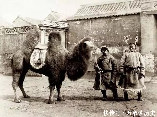 承德|京承高铁开通之时说交通:《骆驼祥子》的骆驼是从承德牵出去的