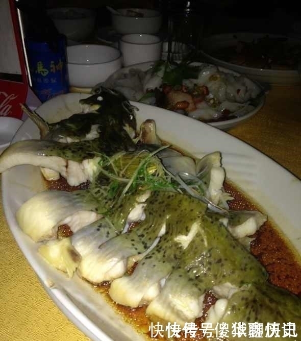 比甲鱼营养,一斤卖到300元,被誉为“淡水鱼之王”,却常被嫌弃