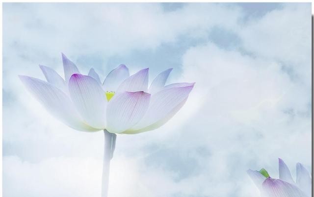 无忧|《道德经》:心态上知足,行动上知止,人的一生可以无忧