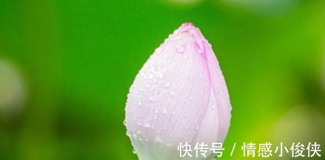 兴旺|一个家庭难以富贵,往往是犯了这3个糊涂,要想家庭兴旺不妨一看