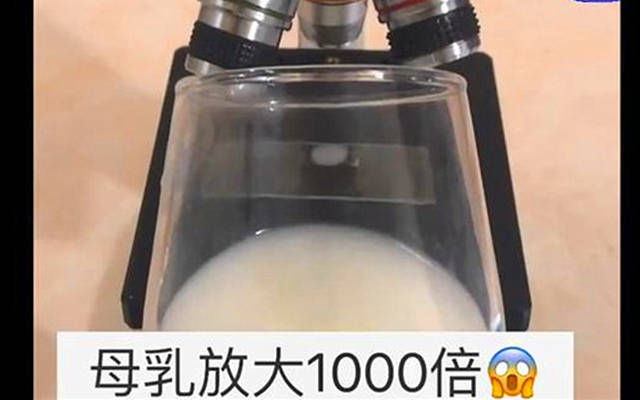 母乳|显微镜把“母乳”放大1000倍,样子令网友惊叹母爱太神奇