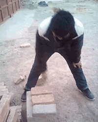 GIF|搞笑GIF:快看镜头,我要多拍几张留作纪念