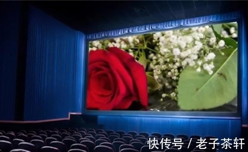 卫生纸@生活小常识:我们熟悉的10种物品形状背后,隐藏着鲜为人知的秘密