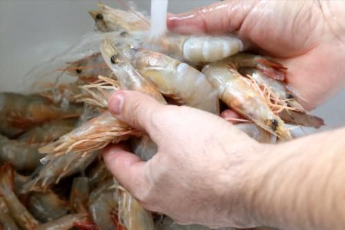 大虾|保存大虾，别再直接冻冰箱，只需1个塑料瓶，到冬天依旧很新鲜