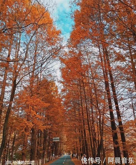 凤县|秦岭秋天最美自驾公路，只有39公里，却穿越中国南北！