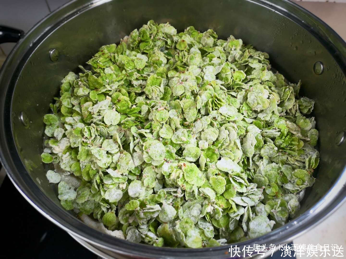 榆树|藏在树上的“安眠药”,就这几天树上有,偶尔吃一点,一觉自然醒