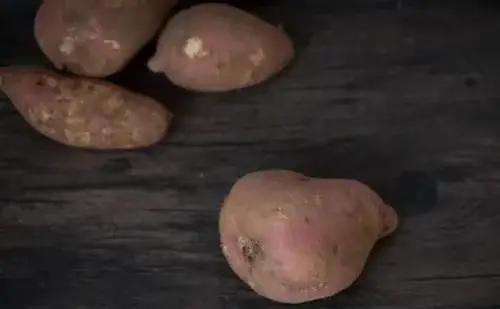 过年炸什么丸子美味呢？厨师长教你技巧，学会了在家可以露一手