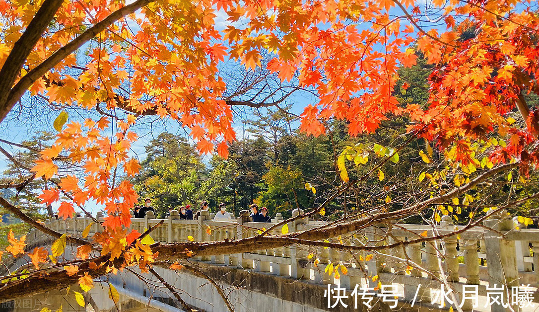 白雪诗@止于唇齿,匿于流年,谁的岁月,弹指刹那,谁的沧桑,掩去芳华