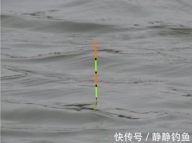 冒出水面|冬天太冷,鱼不好找?庆幸老钓手透露这几招,上鱼速度那叫一个快