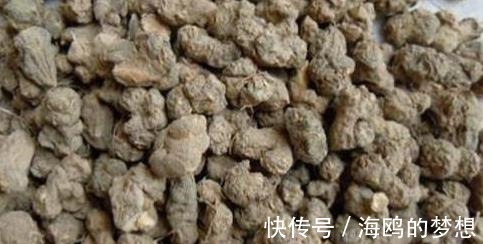 祛风除湿|有一味不被重视的中药,一粒金丹,能祛风除湿、活血通络