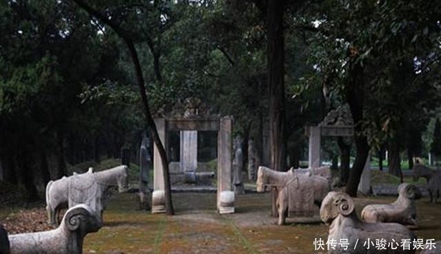 乌鸦|孔子墓地为何“上不落乌鸦,下不招蛇”?你看它用什么建的?