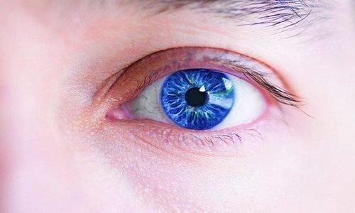 猪肝|常吃猪肝对眼睛有好处?医生:4种含叶黄酸的食物是眼睛的最爱