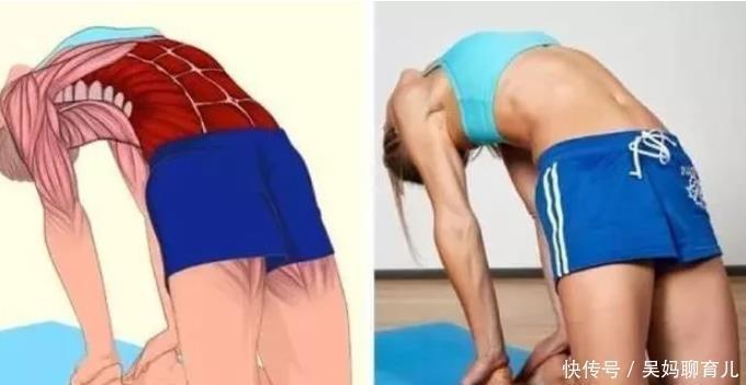 腘绳肌|全身拉筋3D图解，一步到位，在家也能强身健体