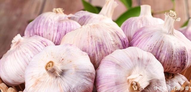 正宗腌糖蒜方法酸甜爽口,操作简单!不止东北喜欢,南方也爱