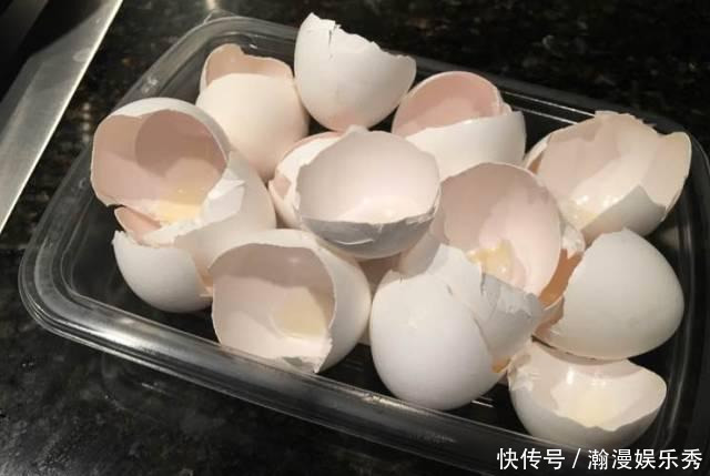 这3种吊兰千万别这么养，不然疯长爆芽，控制不住!